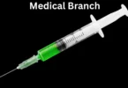 Medical Branch item