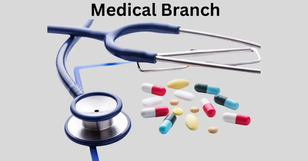 medical branch