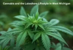 Cannabis and the lakeshore lifestyle in west Michigan