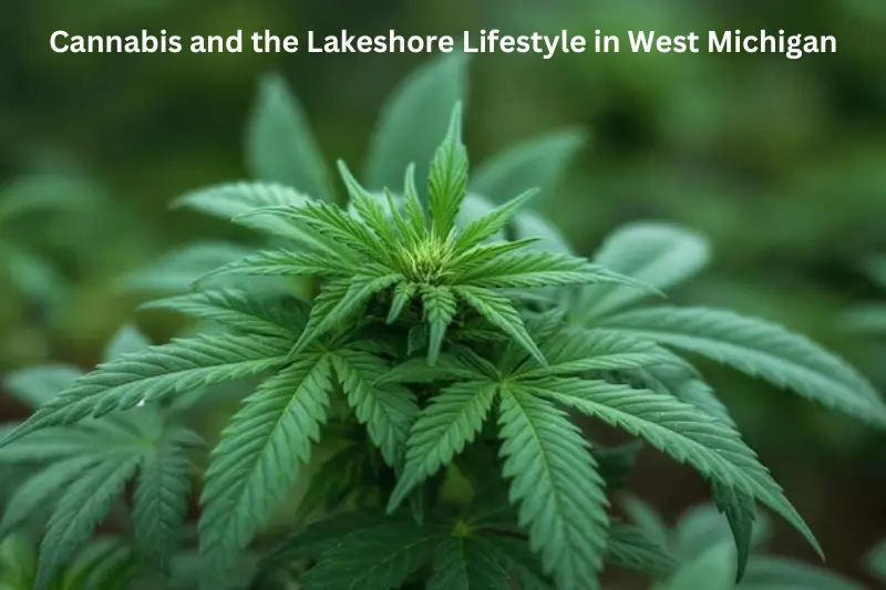 Cannabis and the lakeshore lifestyle in west Michigan