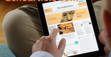 Echoarticle com