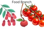 Food branch