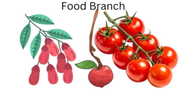 Food branch