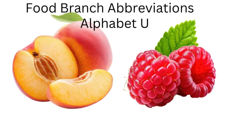 food branch abbreviations alphabet u