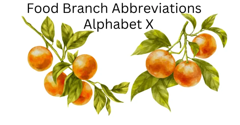 food branch abbreviations alphabet x