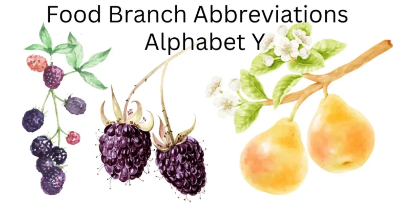 food branch abbreviations alphabet y