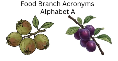 food branch acronyms alphabet a