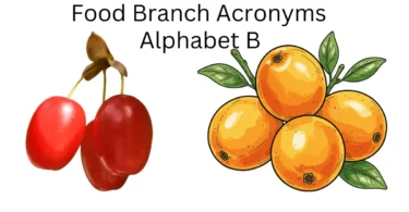 food branch acronyms alphabet b