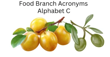 food branch acronyms alphabet c