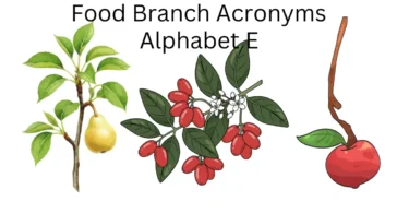 food branch acronyms alphabet e