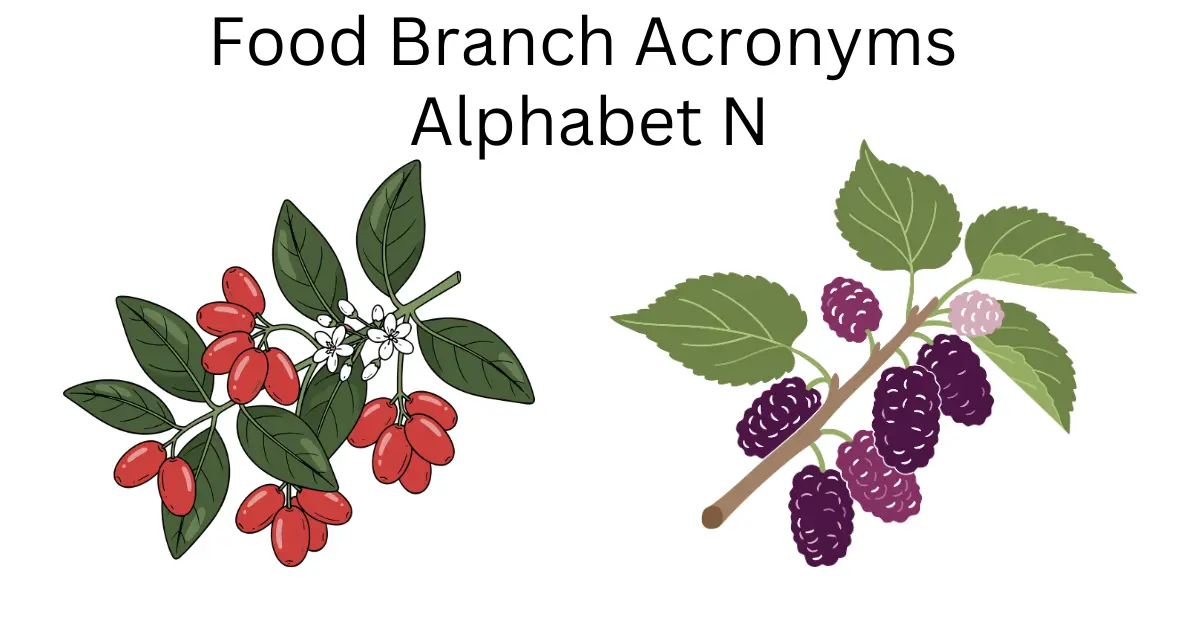 food branch acronyms alphabet n