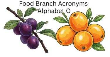 food branch acronyms alphabet o