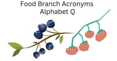 food branch acronyms alphabet q