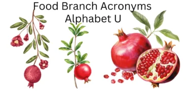food branch acronyms alphabet u