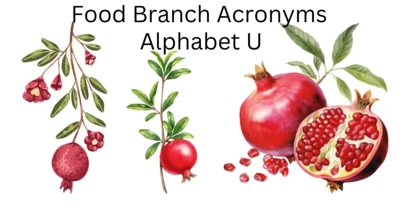 food branch acronyms alphabet u