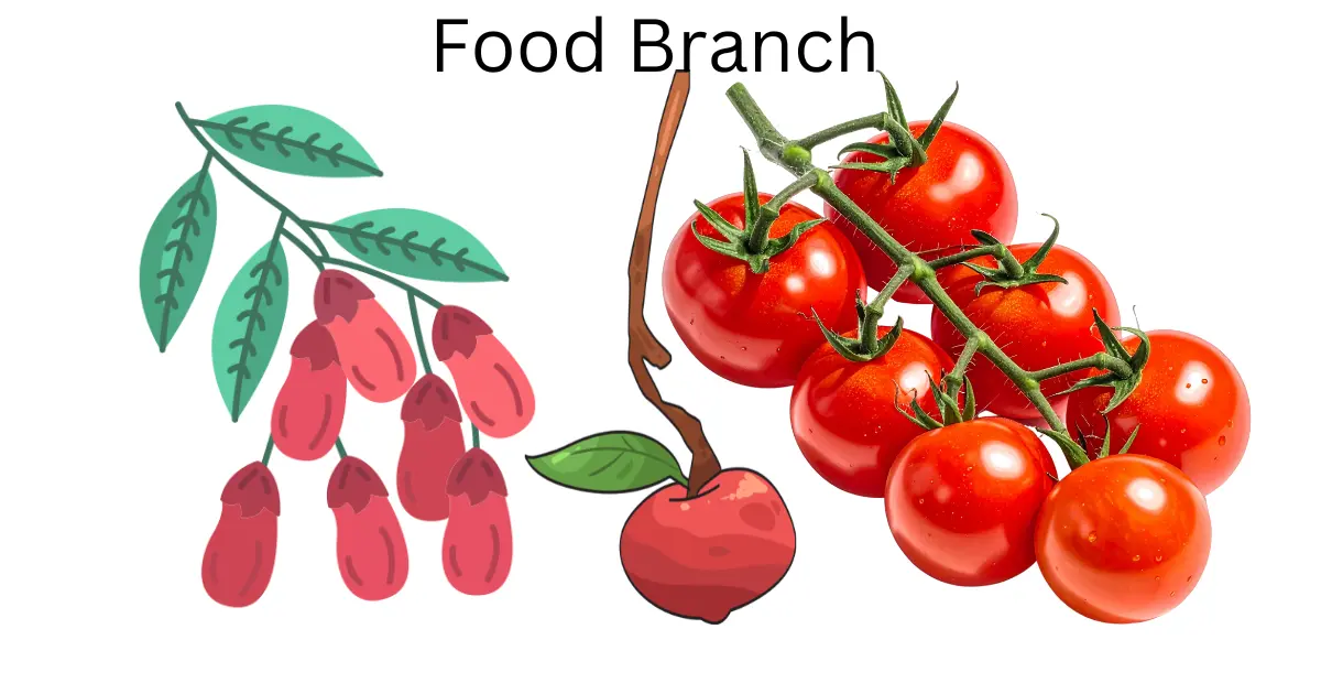 Food branch