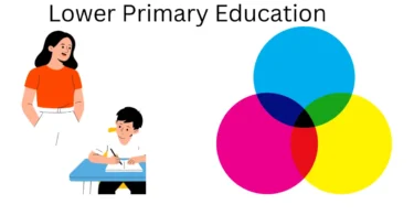 lower primary education