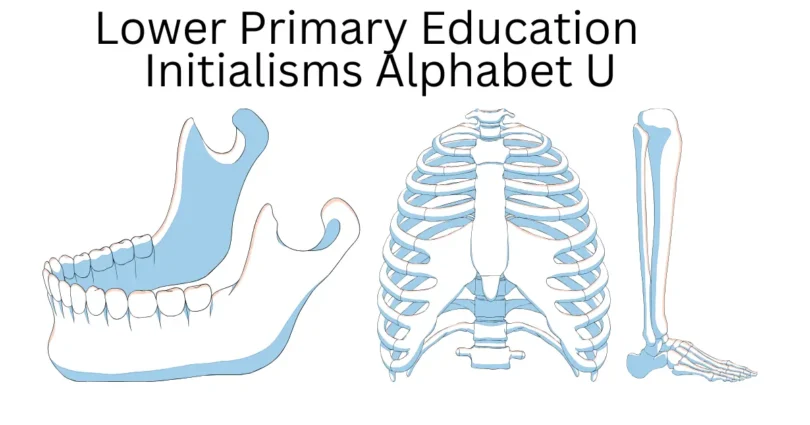 lower primary education initialisms alphabet u