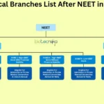Medical branches list after NEET in India