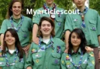 myarticlescout