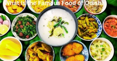 What is the famous food of Odisha