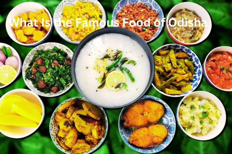 What is the famous food of Odisha
